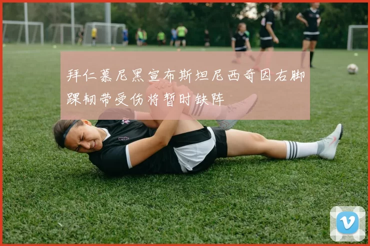 拜仁慕尼黑宣布斯坦尼西奇因右脚踝韧带受伤将暂时缺阵