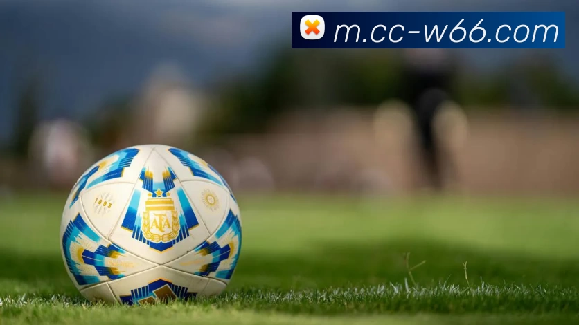 利来国际APP 封面图