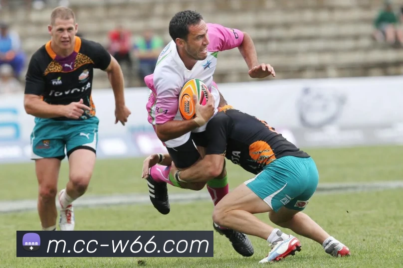 数据防护可视化